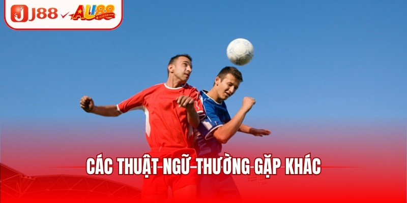 Các thuật ngữ thường gặp khác
