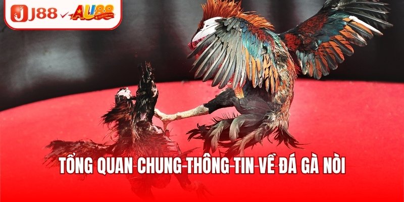 Đá Gà SV128 - Sảnh Giải Trí Uy Tín, Nhiều Trận Đấu Hot 2 Giới thiệu qua thông tin cơ bản về đá gà SV128