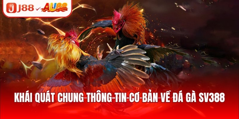 Đá Gà SV388 - Sảnh Chơi Kịch Tính, Cập Nhật Trận Đấu Hot 2 Khái quát chung thông tin cơ bản về đá gà SV388